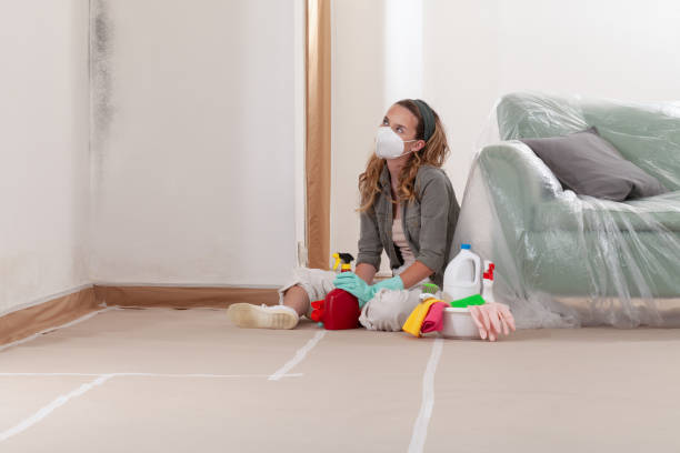 Reliable Attic Mold Removal contractor in Lexington, VA by WQB Mold Removal