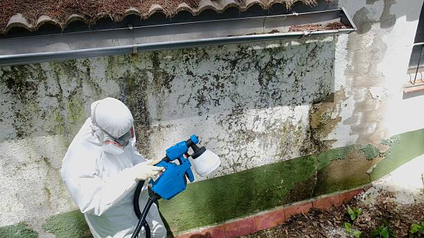 Top rated local Attic Mold Removal specialists in Lexington, VA